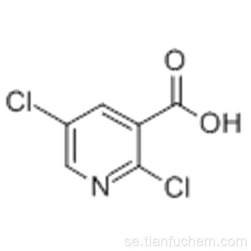 2,5-diklorikotinsyra CAS 59782-85-3